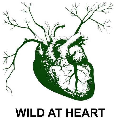 WILD AT HEART - Eric Hynynen