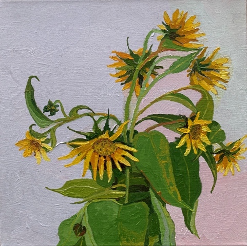 CHLOE TUPPER - Sunflowers III