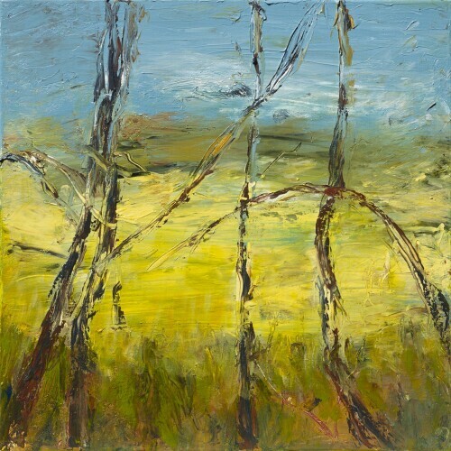 CAROL ROWLING - Canola Fields 1