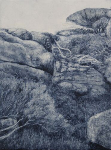 DI CUBITT - Gracetown North #3