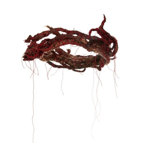 OLGA CIRONIS (WA) - Holding