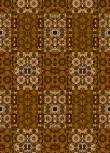 AASIYA EVANS  - The Pattern