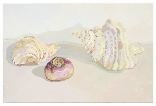CHLOE TUPPER - Shell, Turnip and another shell