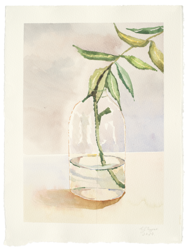 CHLOE TUPPER - A lone leaf in vase