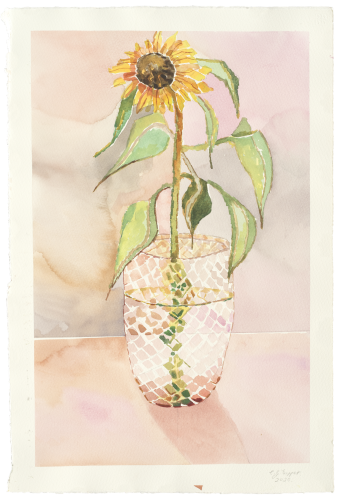 CHLOE TUPPER - Sunflower