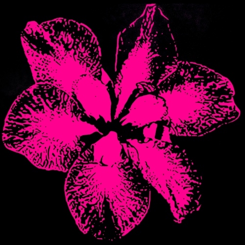 ERIC HYNYNEN - The Language of Flowers