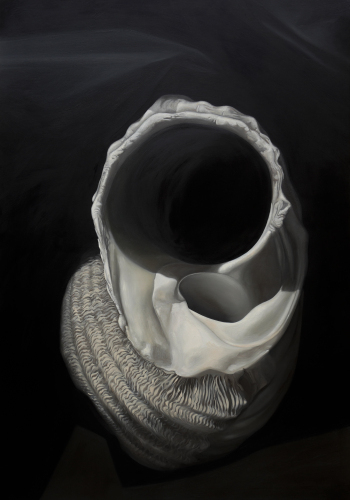 NAZILA JAHANGIR - Immigration- Insomnia