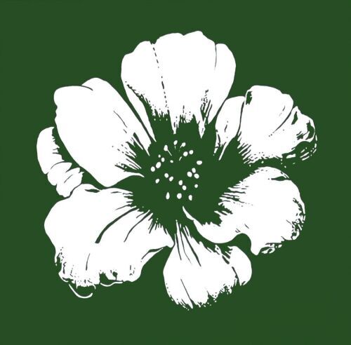 ERIC HYNYNEN - Blossom
