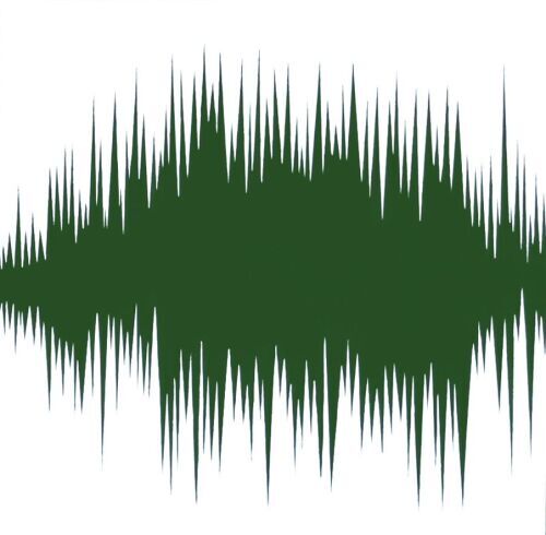 ERIC HYNYNEN - Everything is Vibration