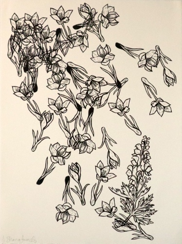SHANA JAMES - Tumbling Crocus