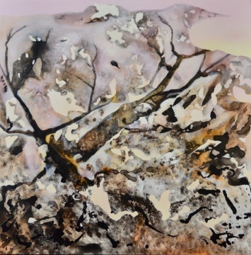 SUE LEEMING - HIKOI: Early morning walks