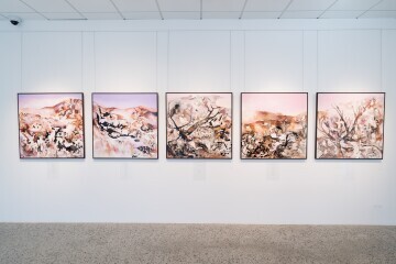 SUE LEEMING - HIKOI: In the Land of the Living