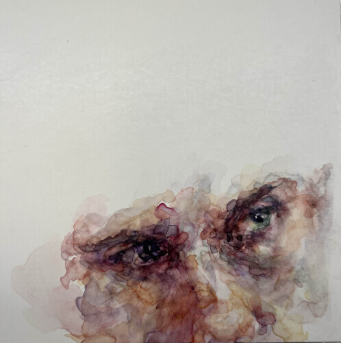 TORI BENZ - Family, study III