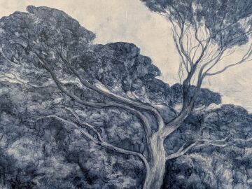 DI CUBITT - Resilience 1: Cape Naturaliste