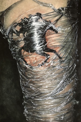 HAN GUNN - Black rider over barbed wire