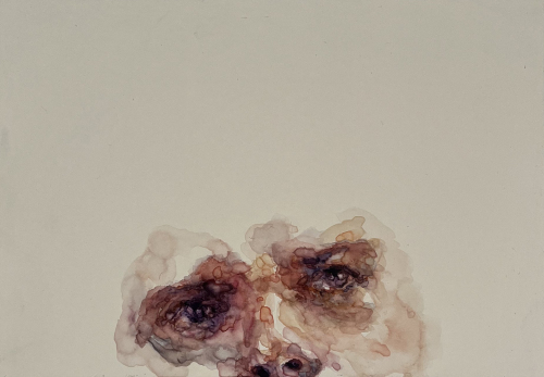 TORI BENZ - Family, study I