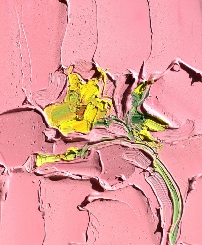 KATHRYN HAUG - Sourgrass on a Pink Ground