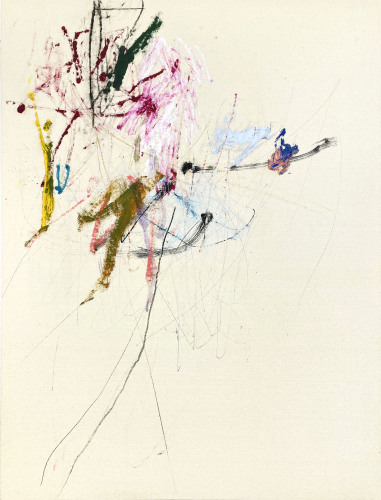 LUDOVIC DERVILLEZ (FRA) - Occurrence 35